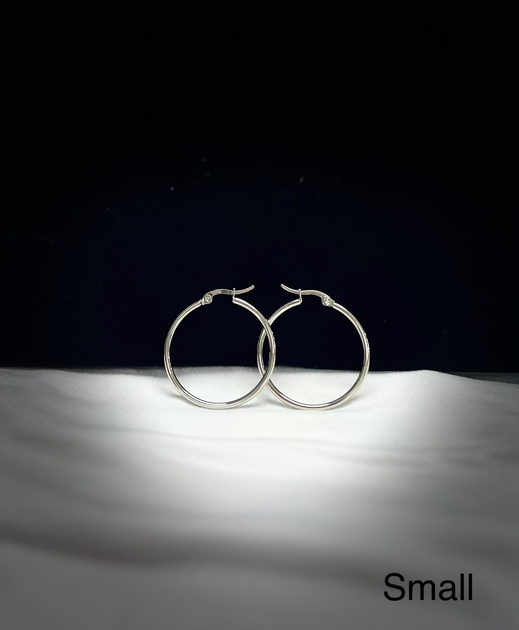 9248 Earrings silver