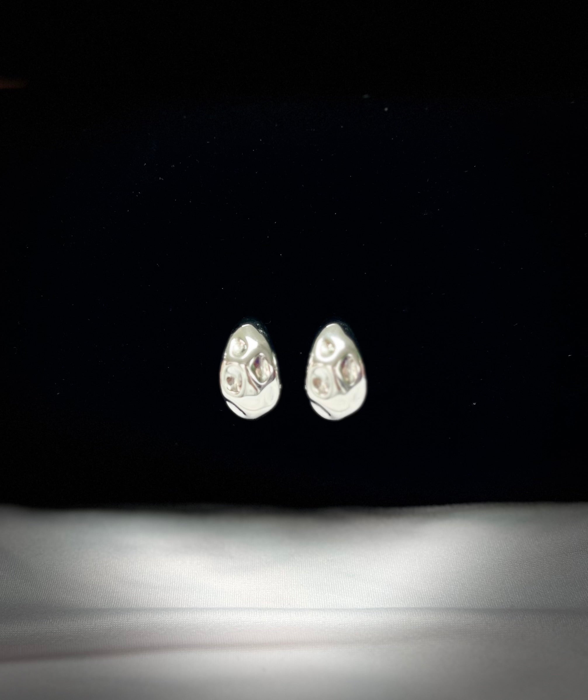 4566 Earrings Silver