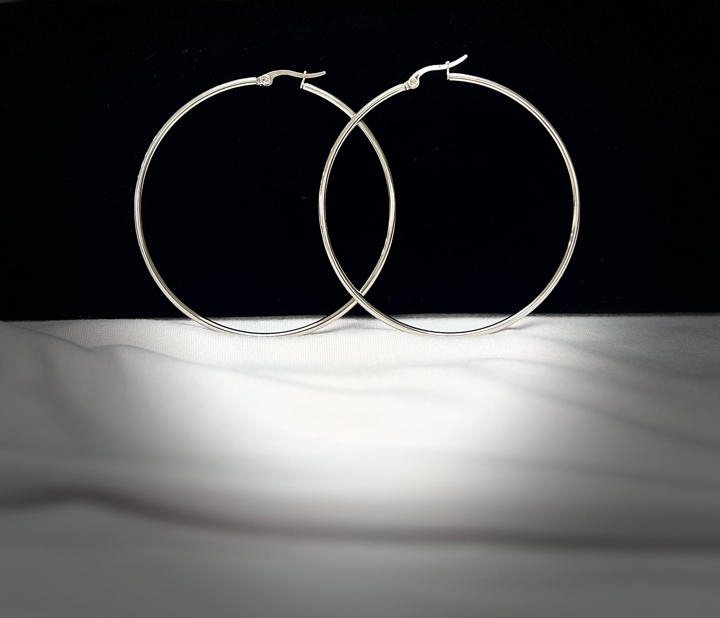 4566 Earrings Silver