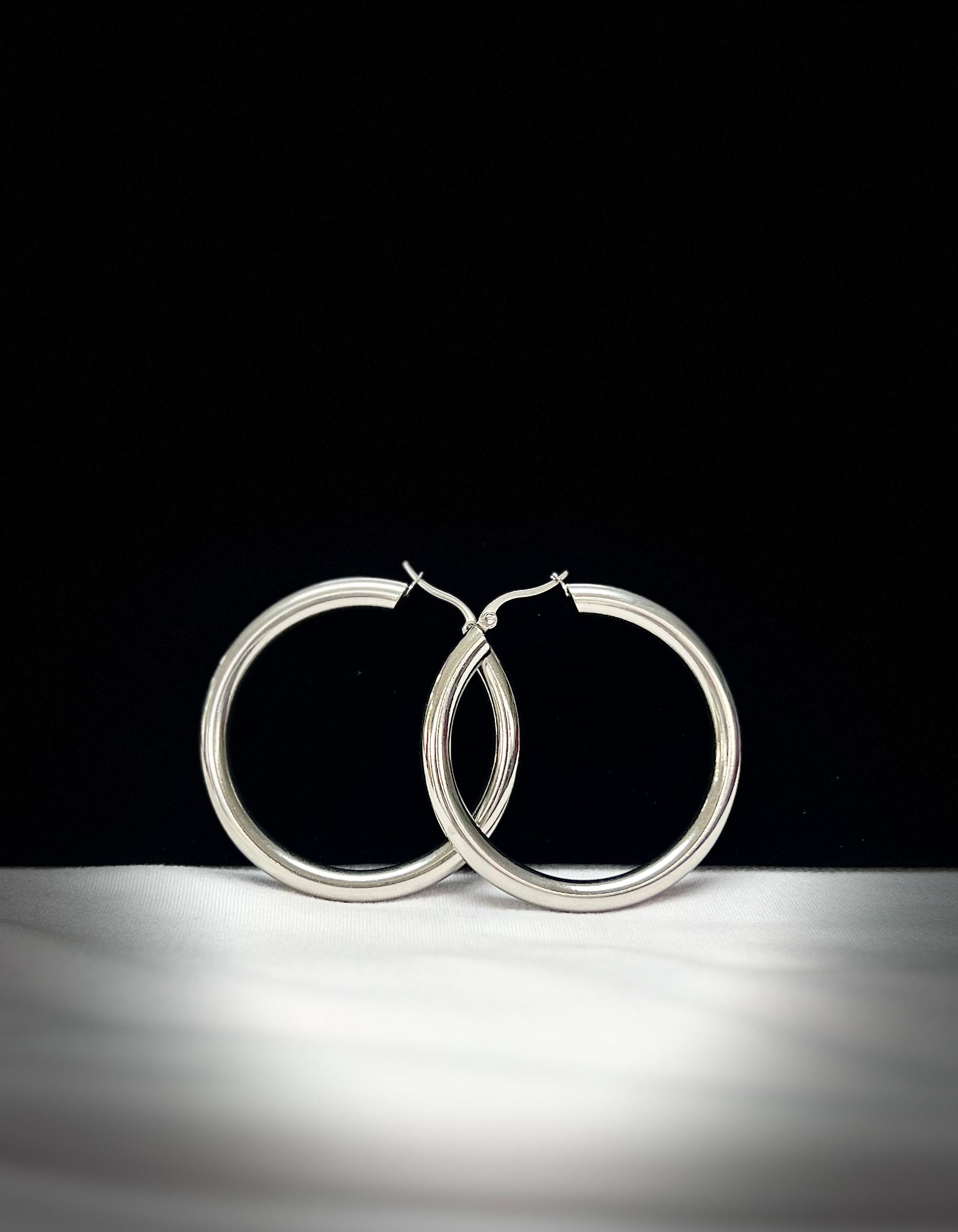 2746 Earrings Silver