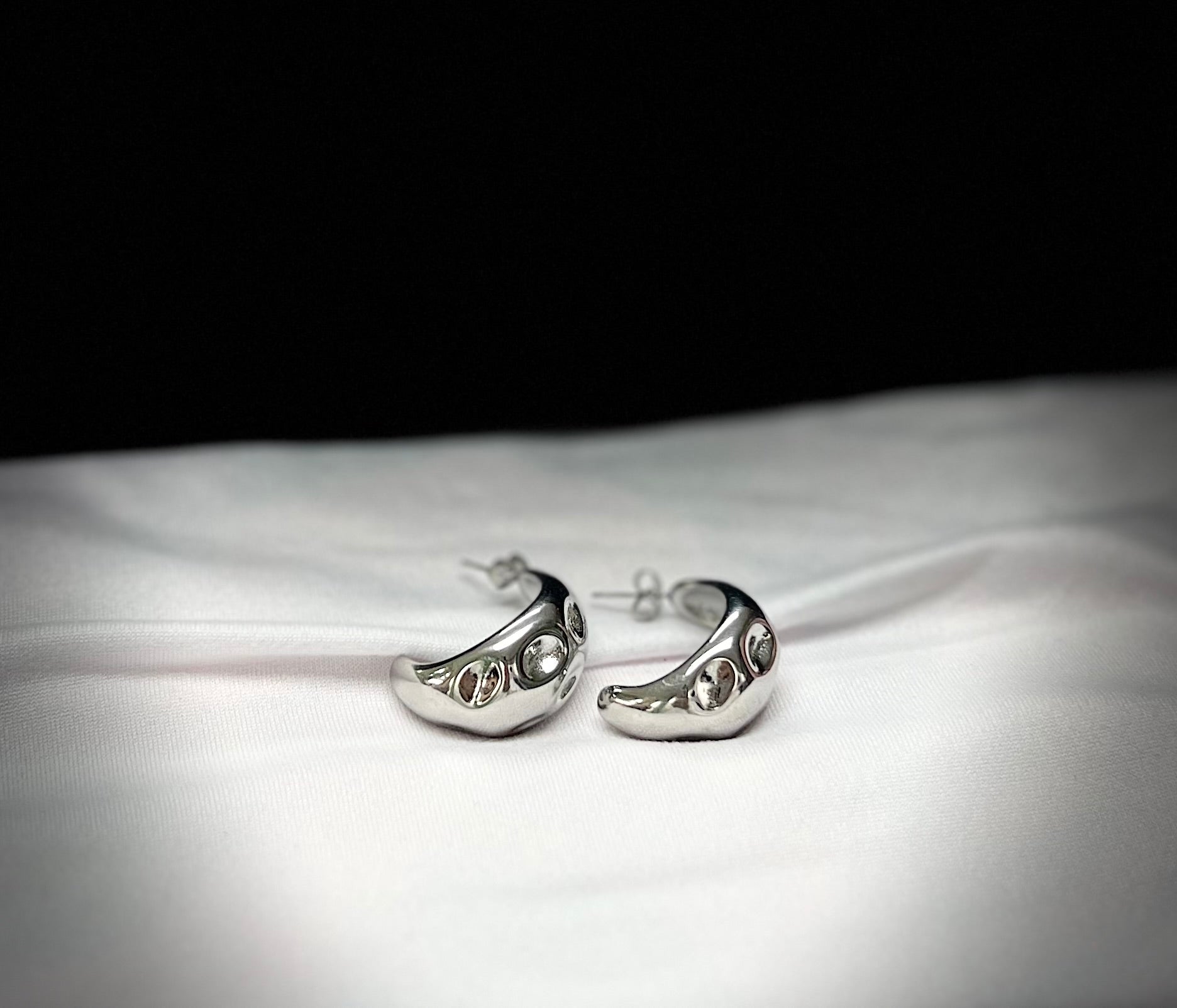 4566 Earrings Silver