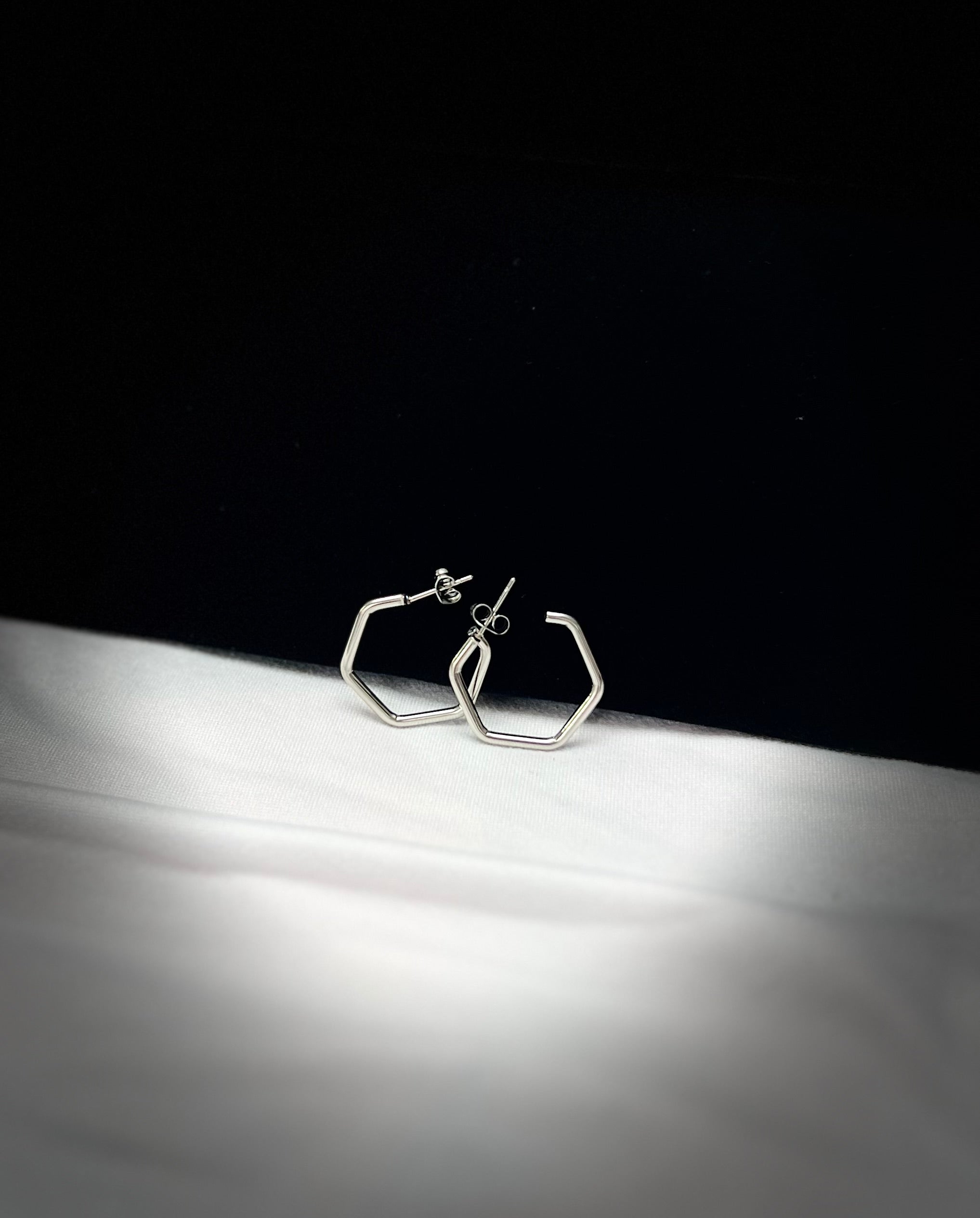 2746 Earrings Silver