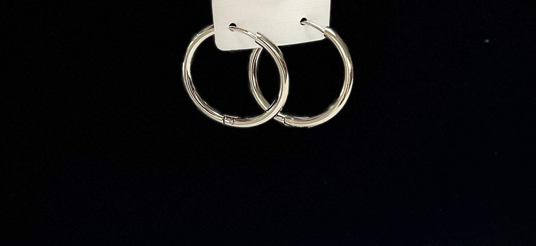 2746 Earrings Silver