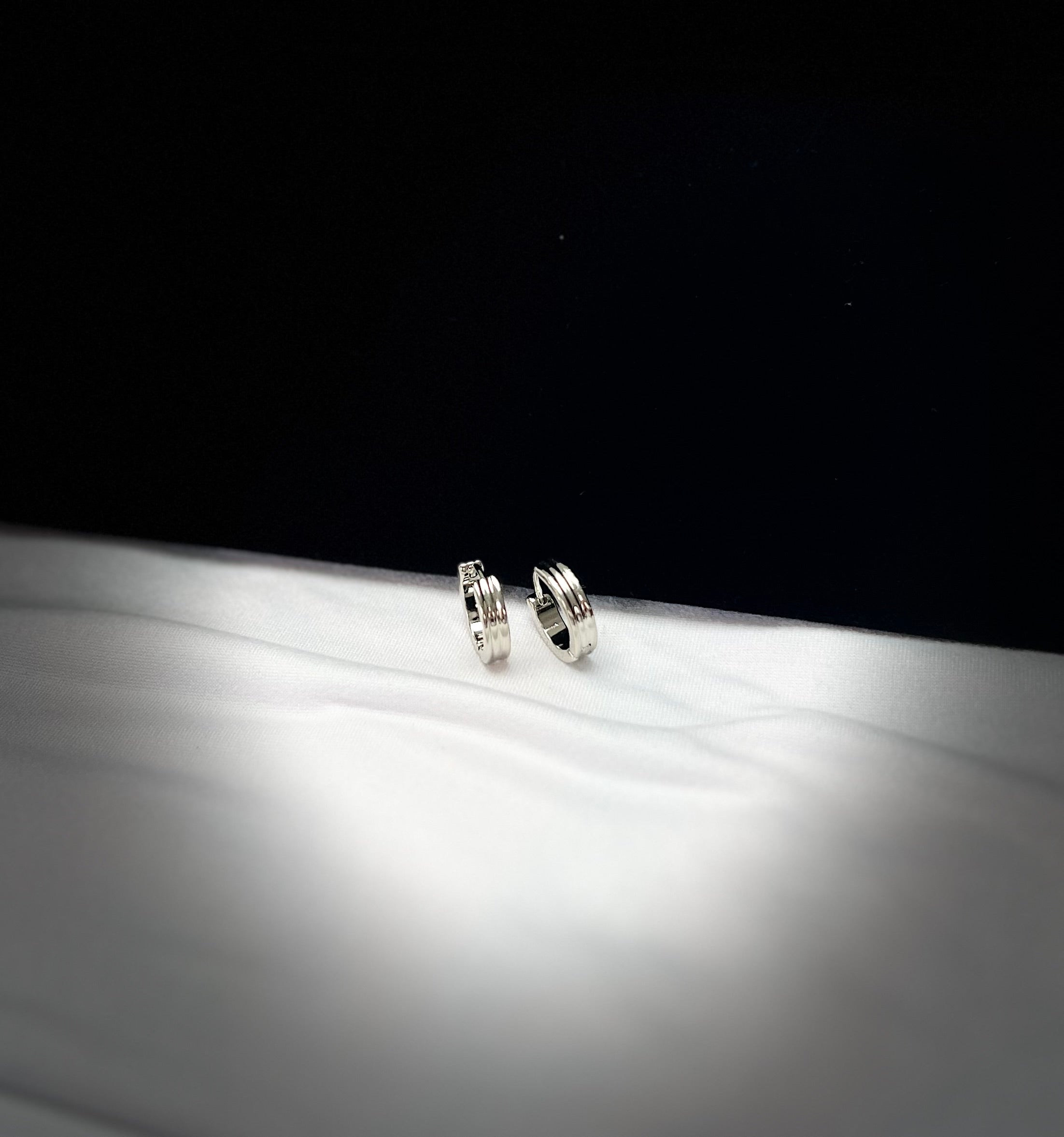 4566 Earrings Silver